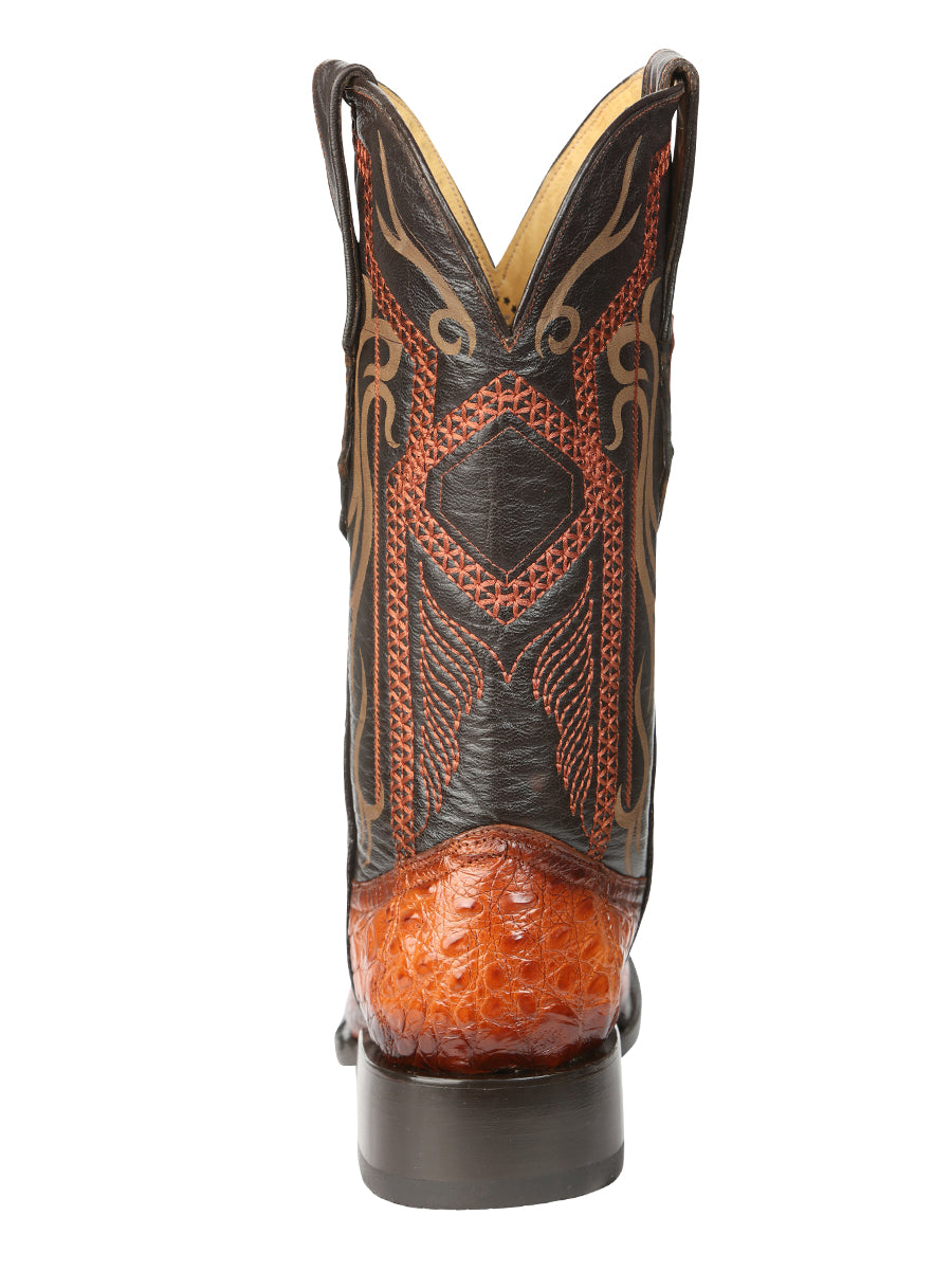 The Exotic Caiman Belly Boot — Cognac (No. 45080)